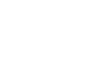 security-engineering